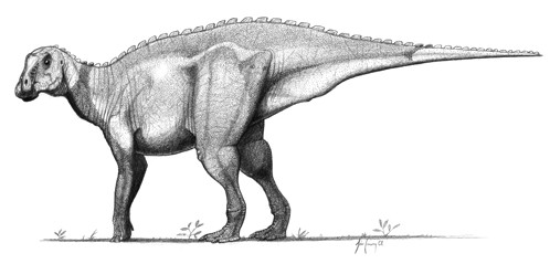 Gryposaurus-notabilis jconway