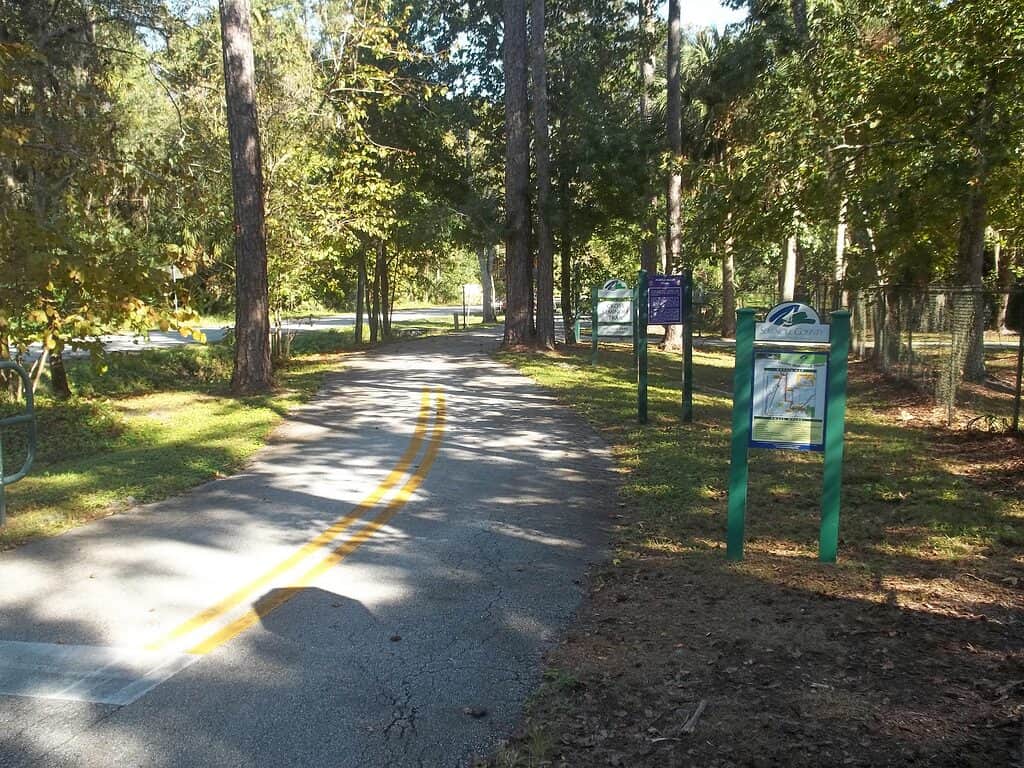 Big Tree Park, Longwood, Florida