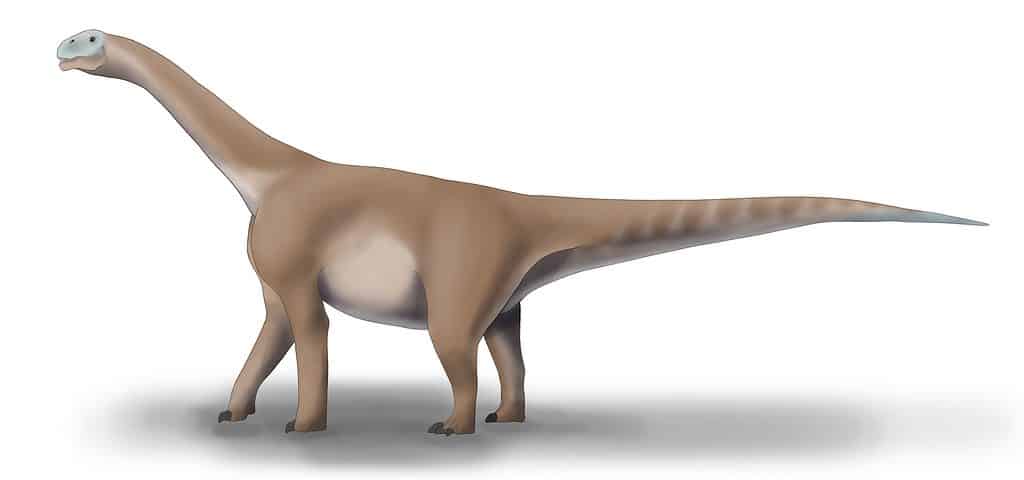 Moabosaurus was one of the largest dinosaurs in North America