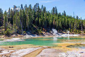 4 Natural Springs In Michigan And Where To Find Them - A-Z Animals