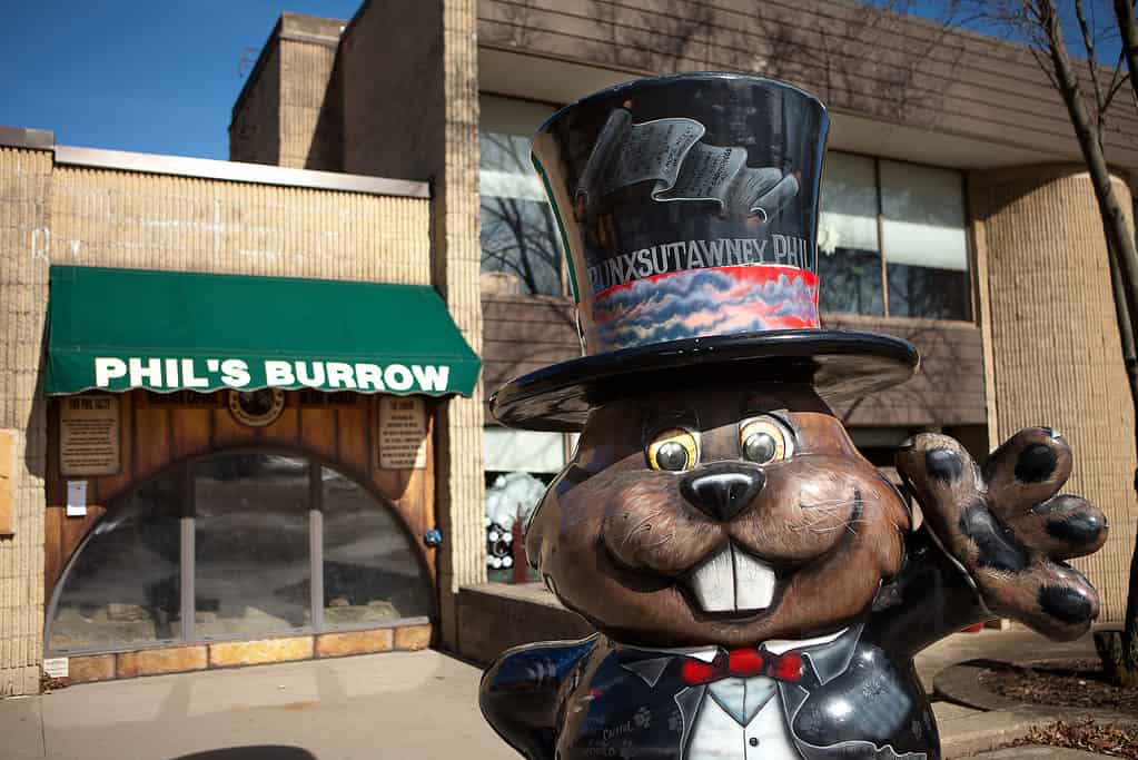 Punxsutawney Phil Statue in Punxsutawney, Pennsylvania