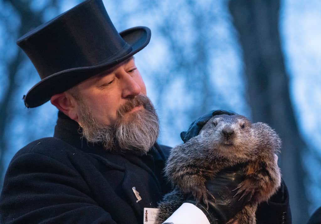 Punxsutawney Phil on Groundhog Day