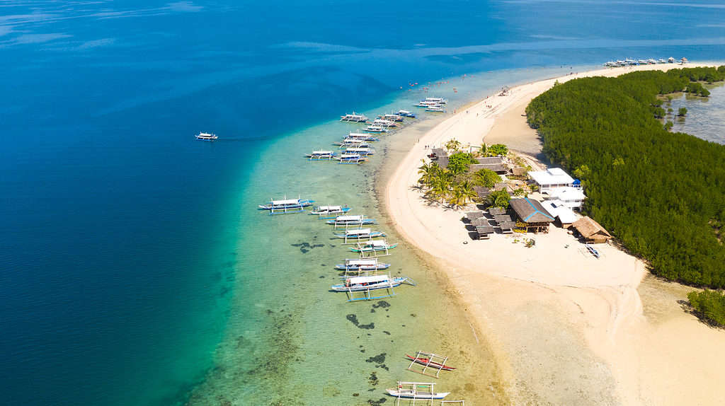 เกาะปลาดาว Puerto Princesa เกาะ Palawan ประเทศฟิลิปปินส์