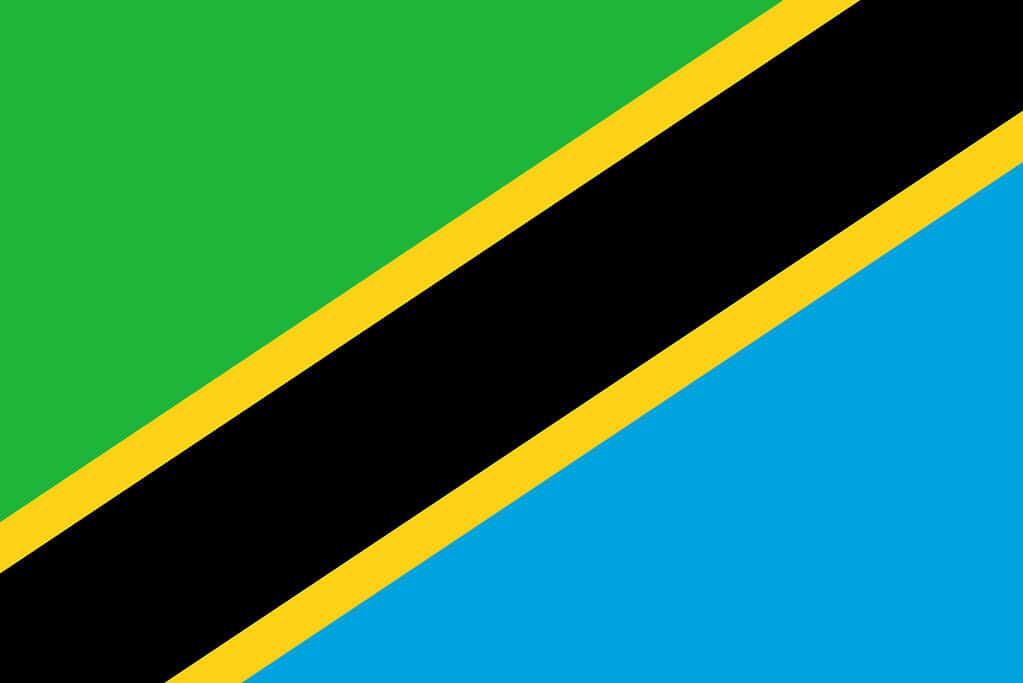 Tanzania flag