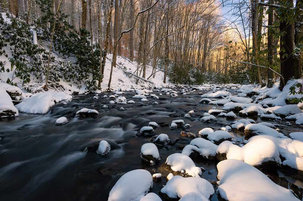 Tennessee Winter