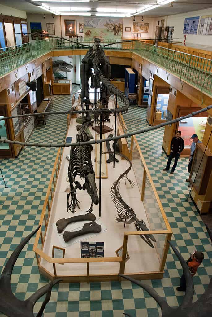 University of Wyoming Geological Museum