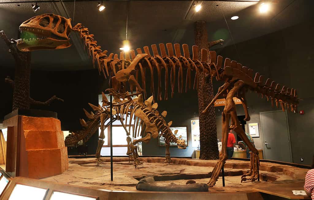 Delaware Museum of Natural History dinosaur exhibit