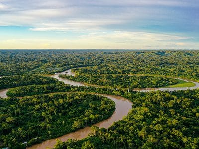 A How Big Is the Amazon Rainforest? Compare Its Size in Miles, Acres, Kilometers, and More!