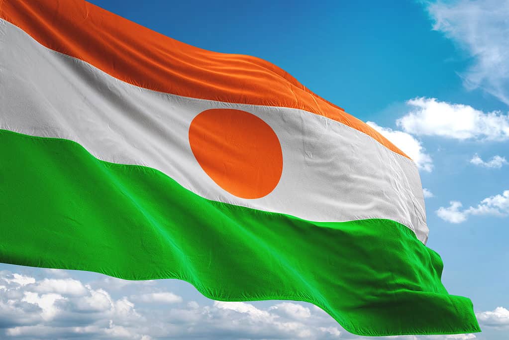 the flag of Niger