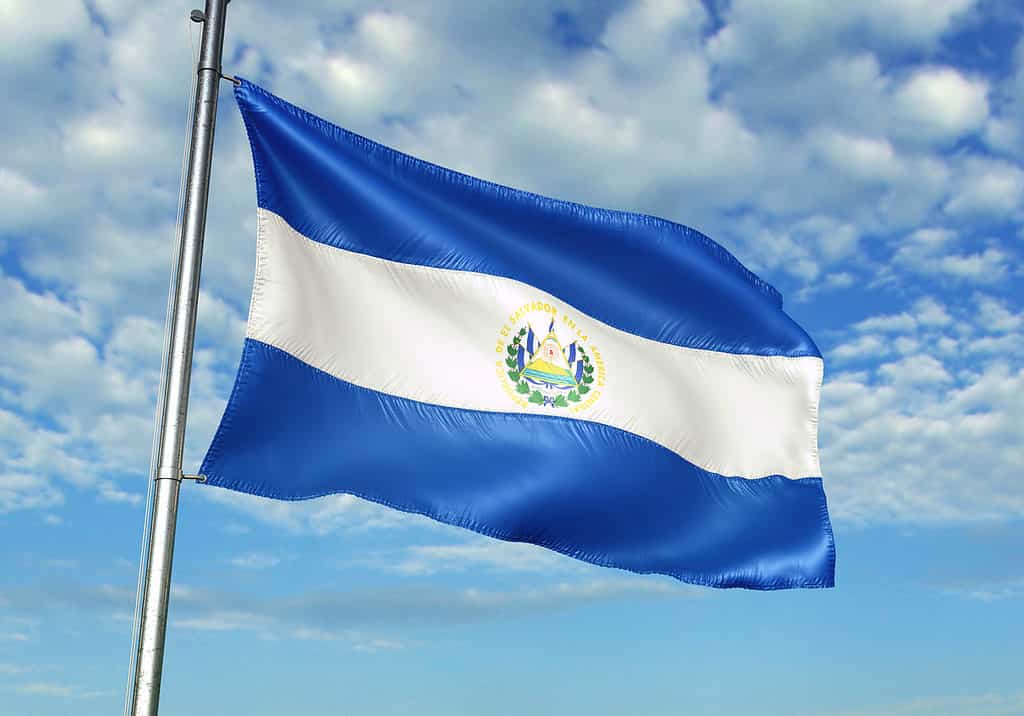El Salvador's flag is colorful much like the national bird
