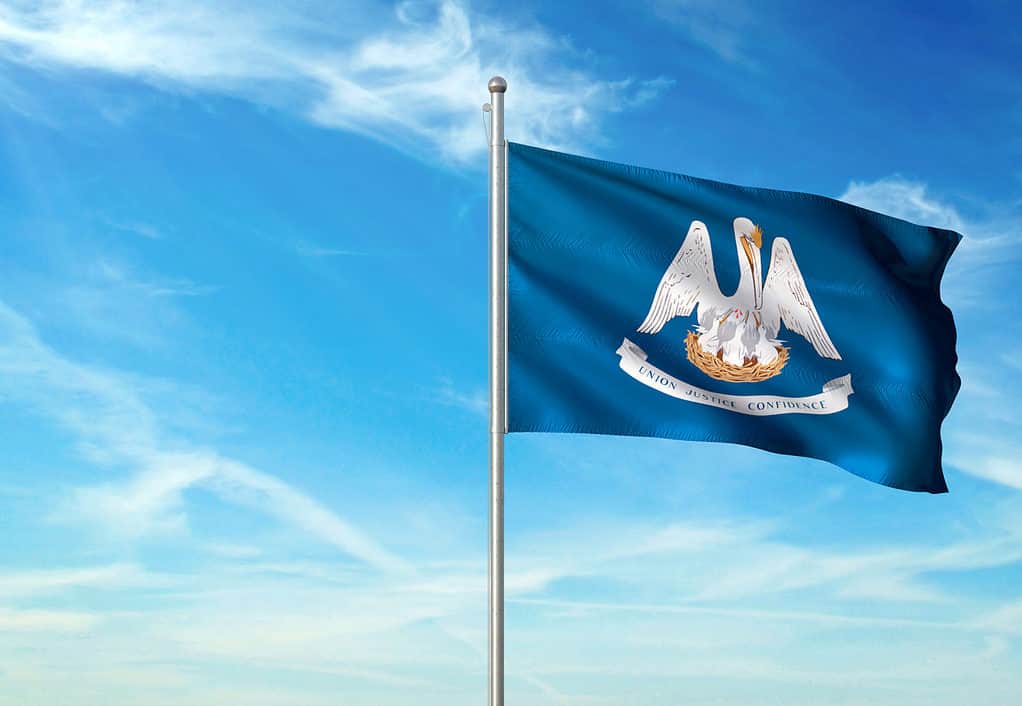 Flag of Louisiana, Meaning, Pelican & History