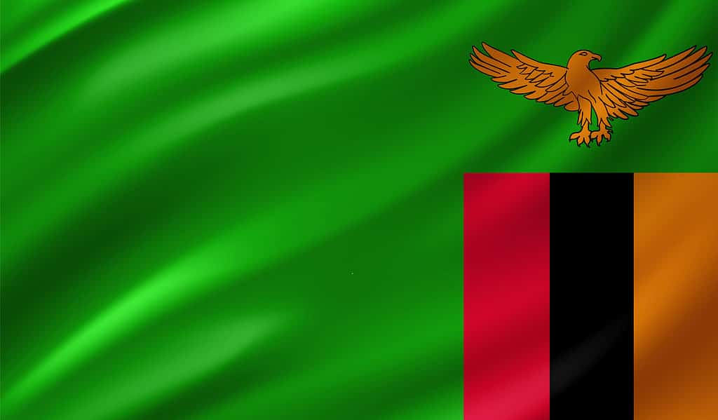 Zambia Flag