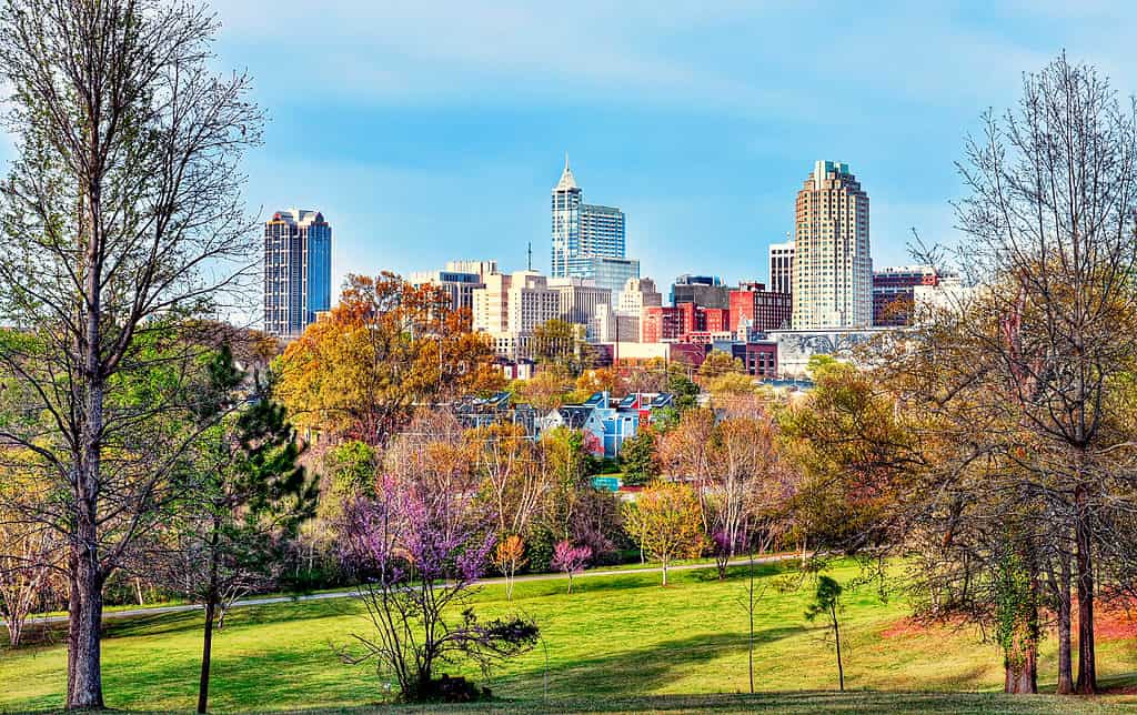 Raleigh, NC is beautiful in the spring.