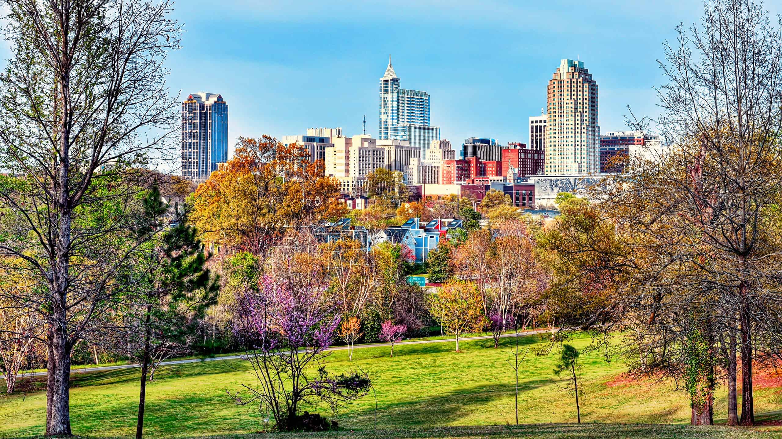 Raleigh, NC is lovely in the spring.
