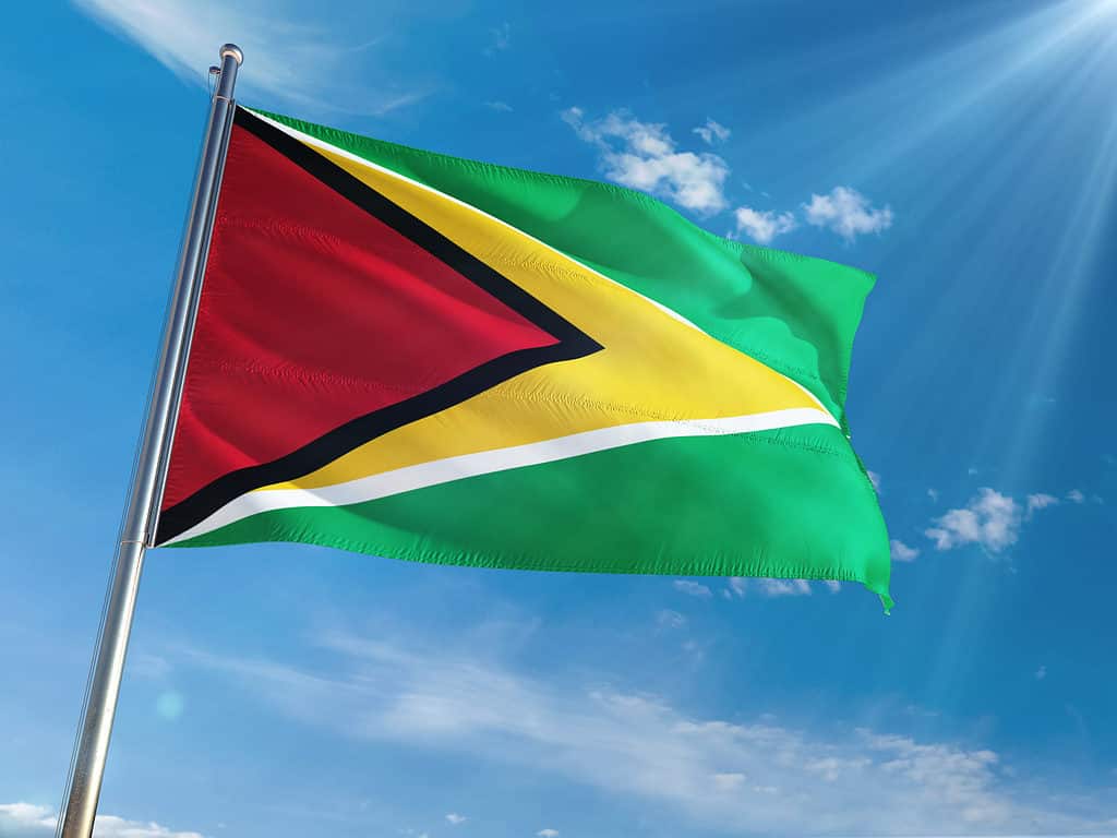 Bandera de Guayana ondeando en el viento