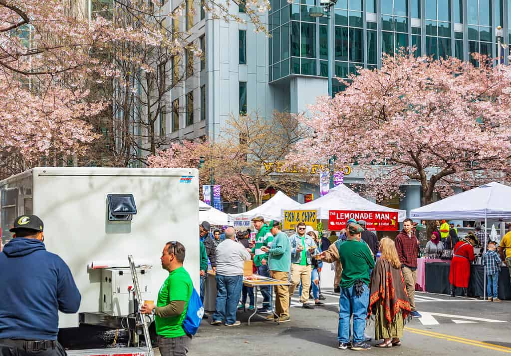 Vendors under blossoming cherry trees draw hungry revelers on St. Patrick's day in uptown Charlotte, NC.