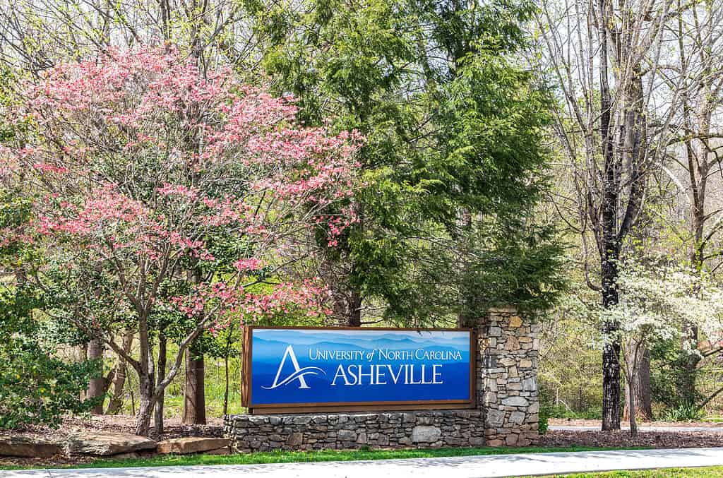 The city of Asheville has never looked more beautiful than when it's decked out in cherry blossoms.