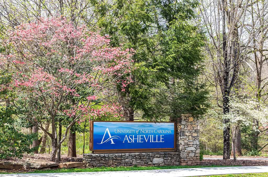 Asheville is never lovelier than when it is adorned with cherry blossoms.