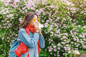 Allergy Season In The United States: A Complete Guide Picture