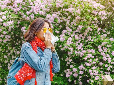 A Allergy Season In The United States: A Complete Guide