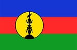 The flag of New Caledonia is a horizontal triband consisting of blue, red, and green, with a yellow disc outlined in black with the Kanak-carved totem inscribed on it. 