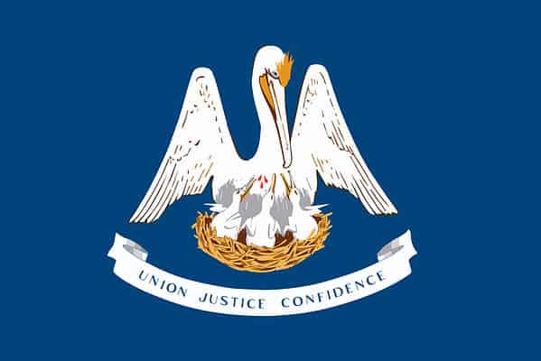 The flag of Louisiana is a blue field featuring a pelican and its young in a nest above a ribbon emblazoned with the state motto 