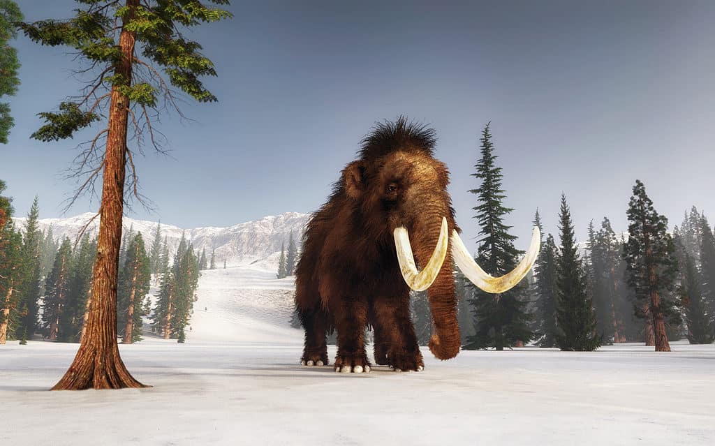 The woolly mammoth was well-suited to life in the tundra