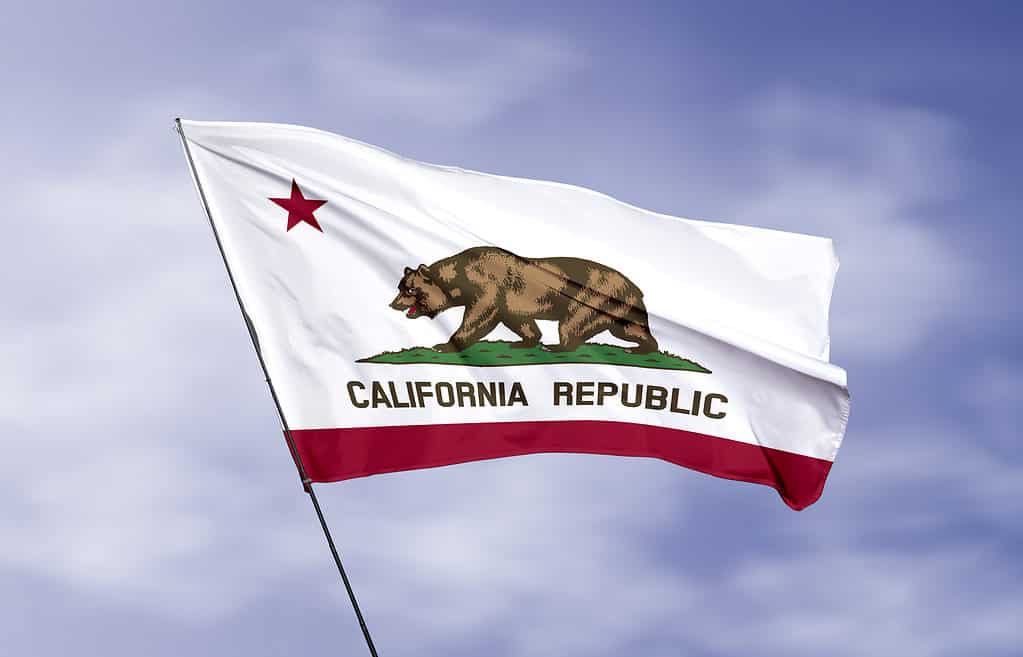 Flag of California waving in the wind