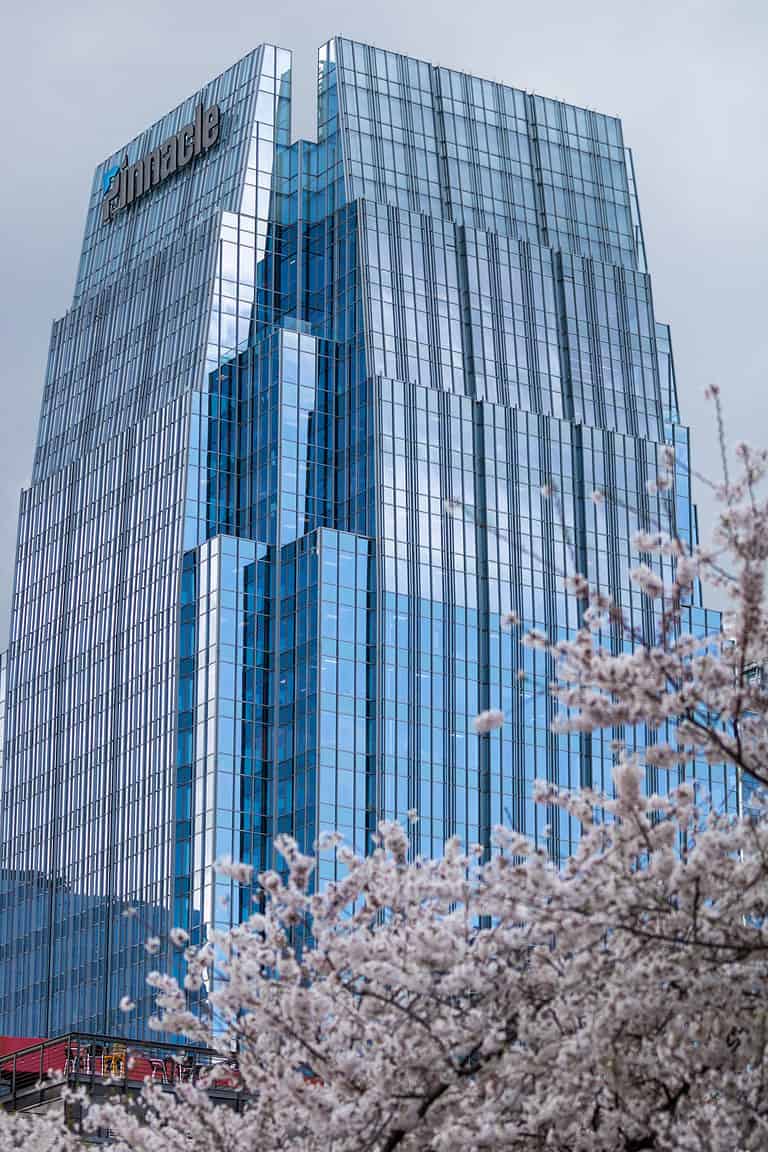 Nashville's cherry blossom bloom is an annual spring treat.