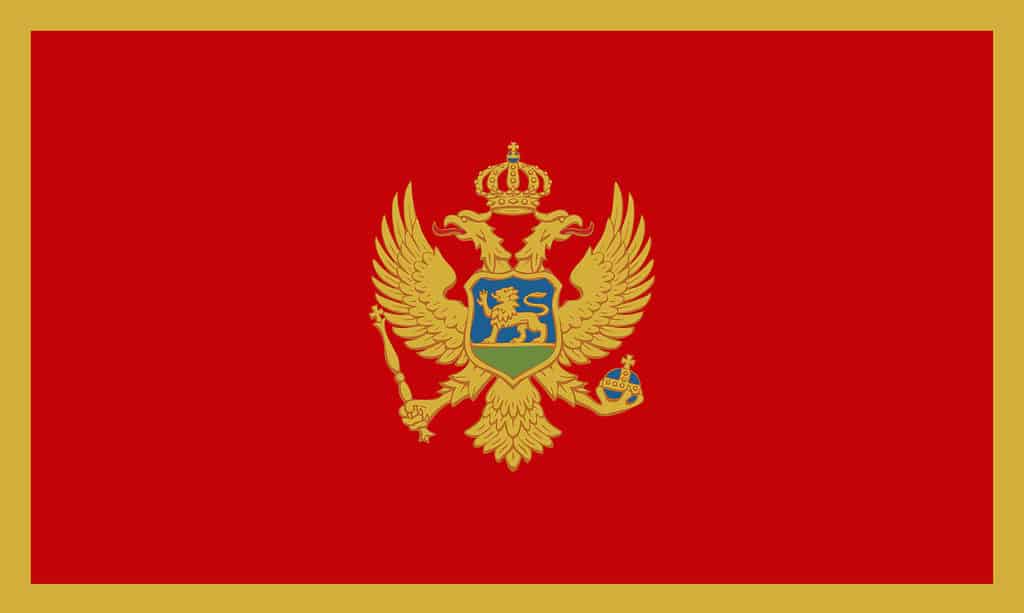 Vectorial illustration of the flag of Montenegro. Concept of the homeland