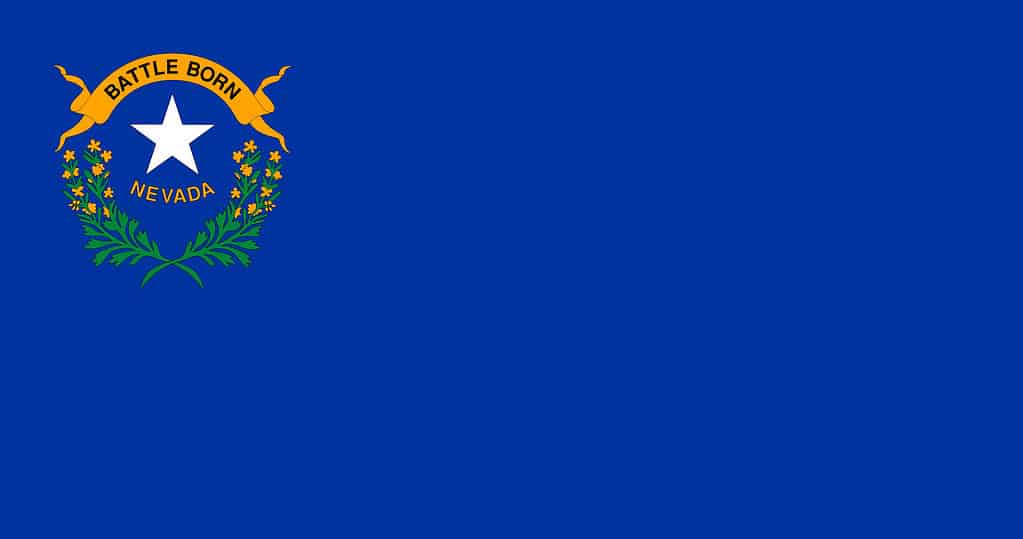 Nevada Flag 
