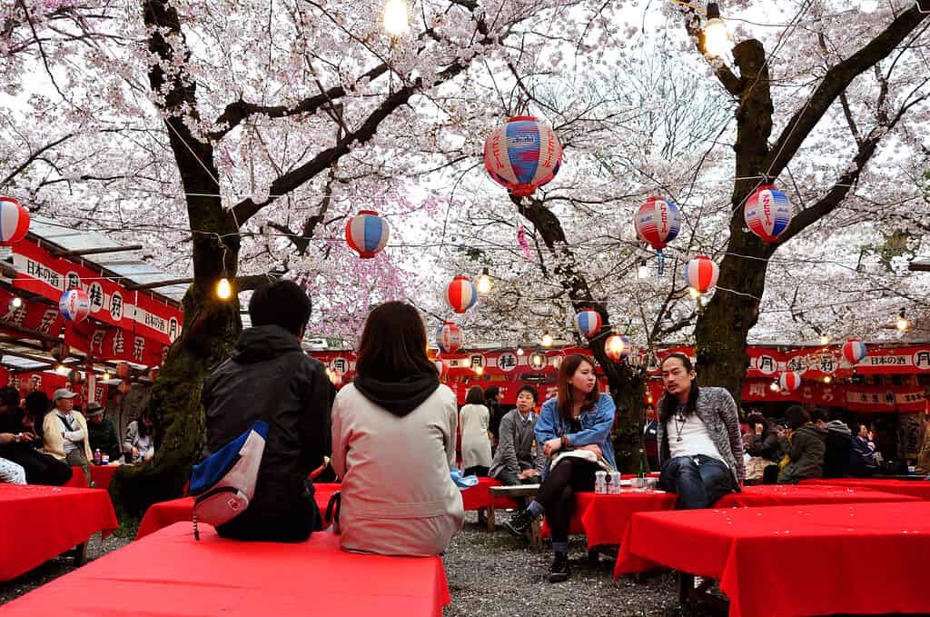 Kyoto, Japan - April 6, 2016: Open air cafe with red tables, lanterns and people enjoying cherry blossom near Hirano shrine