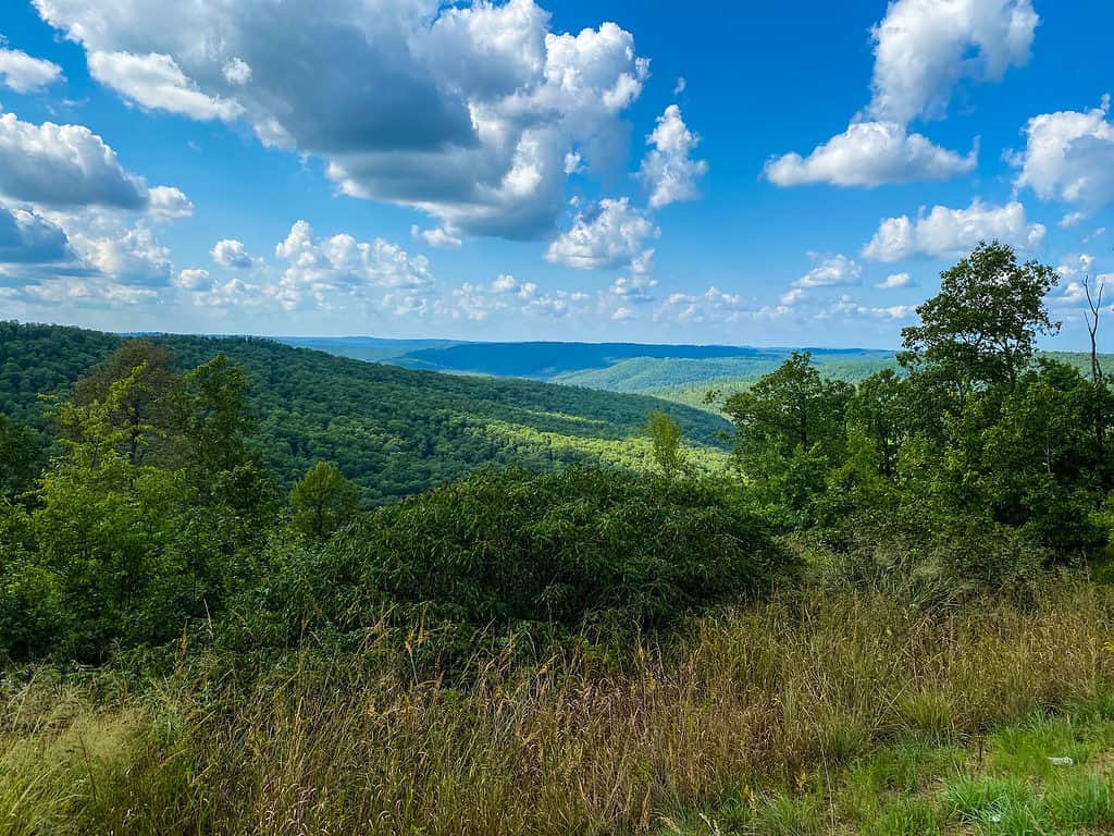 Ozark Highlands in northwest Arkansas