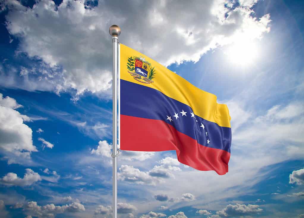Official Venezuelan Flag Official Venezuelan Flag