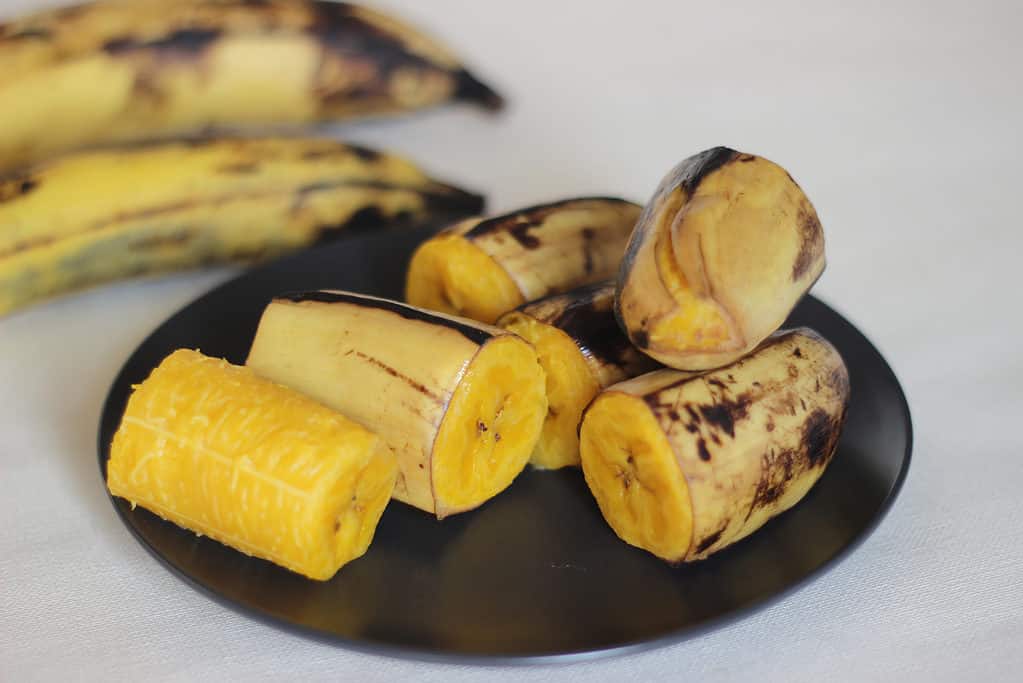 Ripe plantain steamed can safely be eaten by dogs