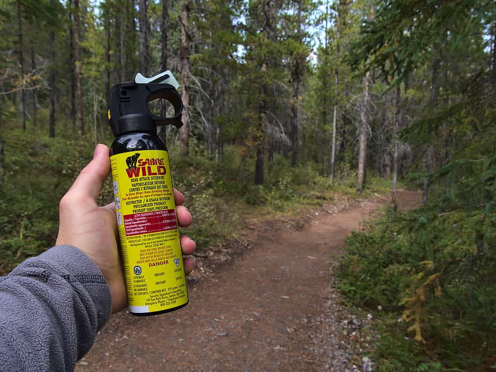 Bear Spray 