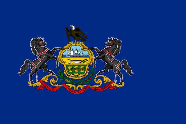 The flag of Pennsylvania consists of a blue field on which the state coat of arms is displayed. The state coat of arms consists of a shield between two horses with a bald eagle on top. It also features a plow, an olive branch with a cornstalk underneath the shield, and three golden sheaves of wheat.