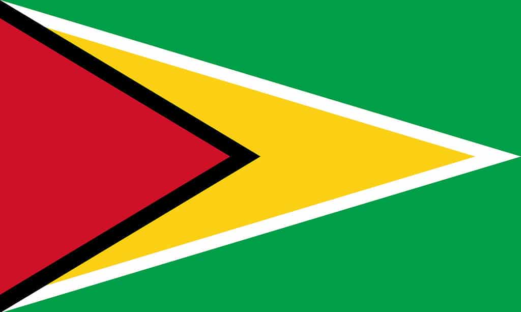 Flag of Guyana