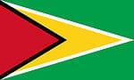 Flag of Guyana.