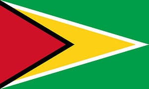 The Flag of Guyana: History, Meaning, and Symbolism Picture