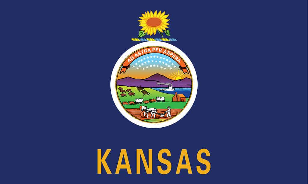 The flag of Kansas features a sunflower plant