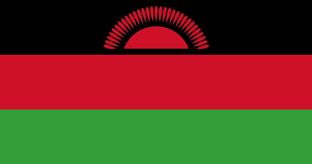 Malawi flag with original RGB color vector illustration design