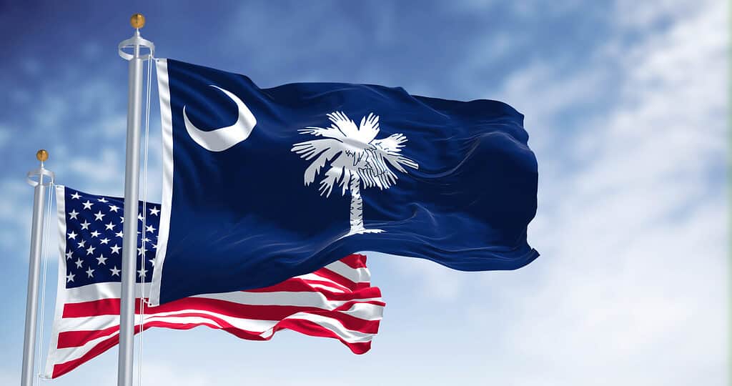 The South Carolina state flag  