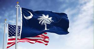 The Flag of South Carolina: History, Meaning, and Symbolism Picture