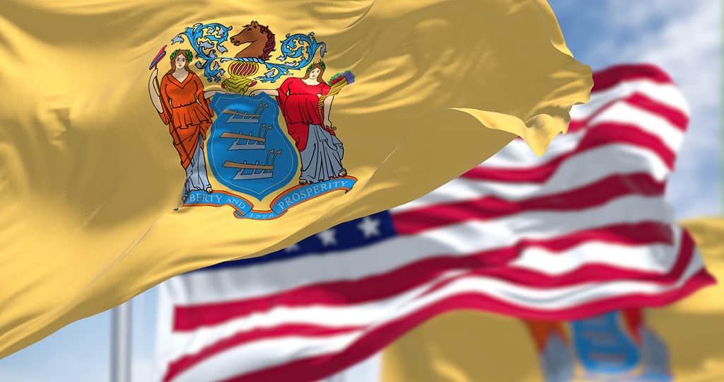 The New Jersey state flag waving 