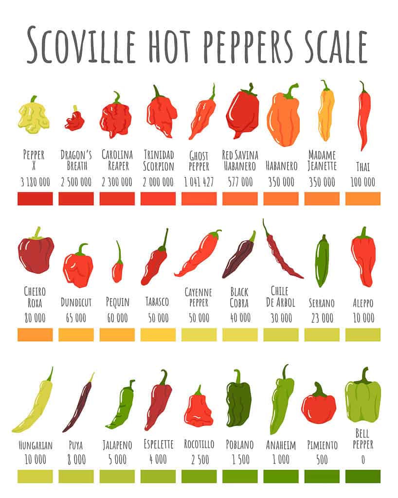 Scoville scale of pepper