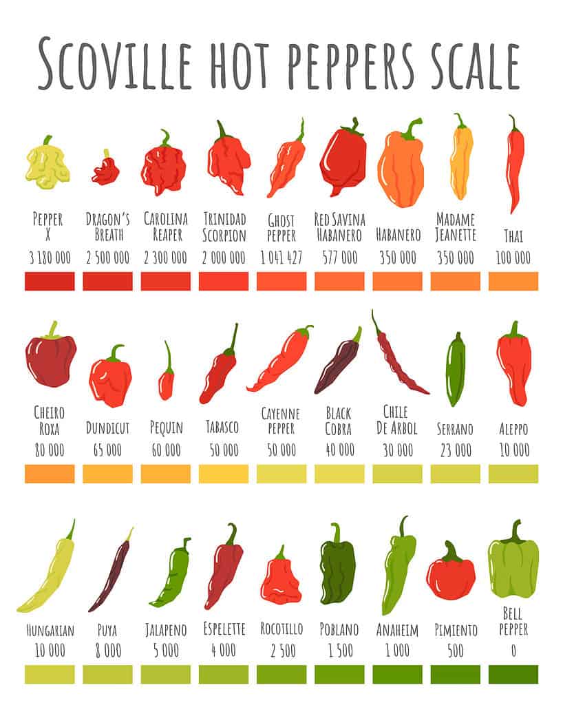 How hot is ChatGPT on the Scoville Scale?🌶