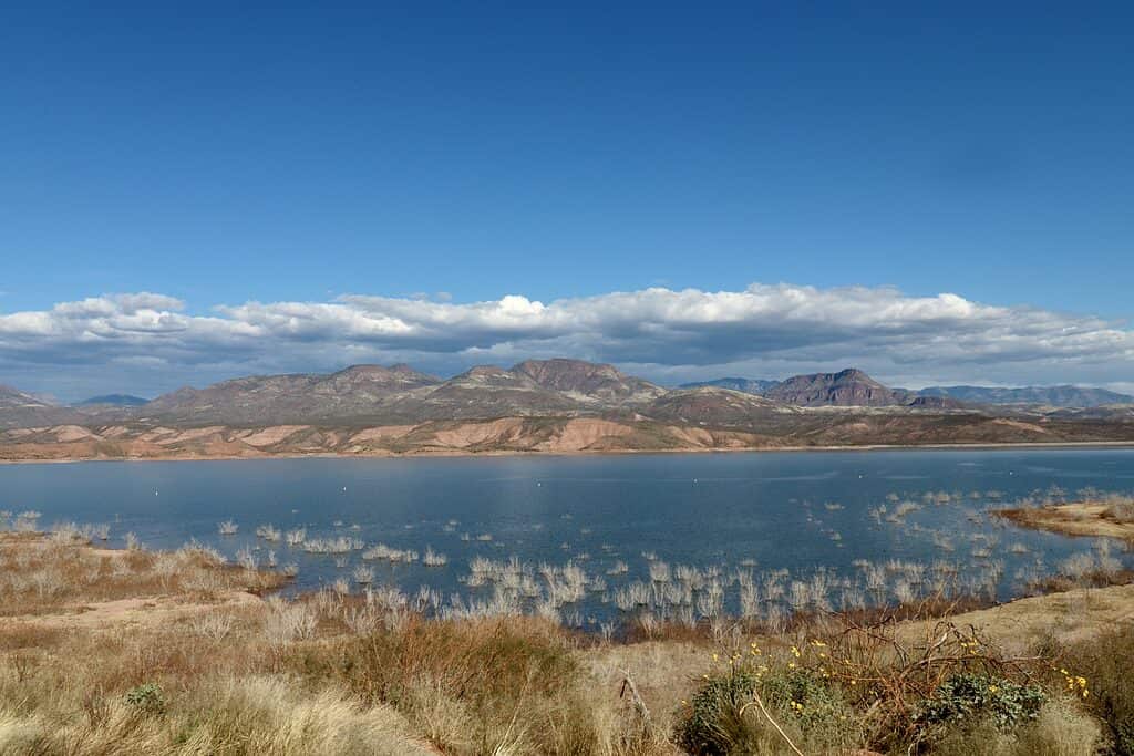 Roosevelt lake