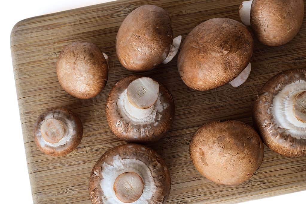 Brown cremini mushrooms