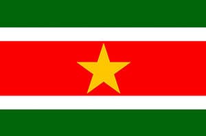 The Flag of Suriname: History, Meaning, and Symbolism Picture